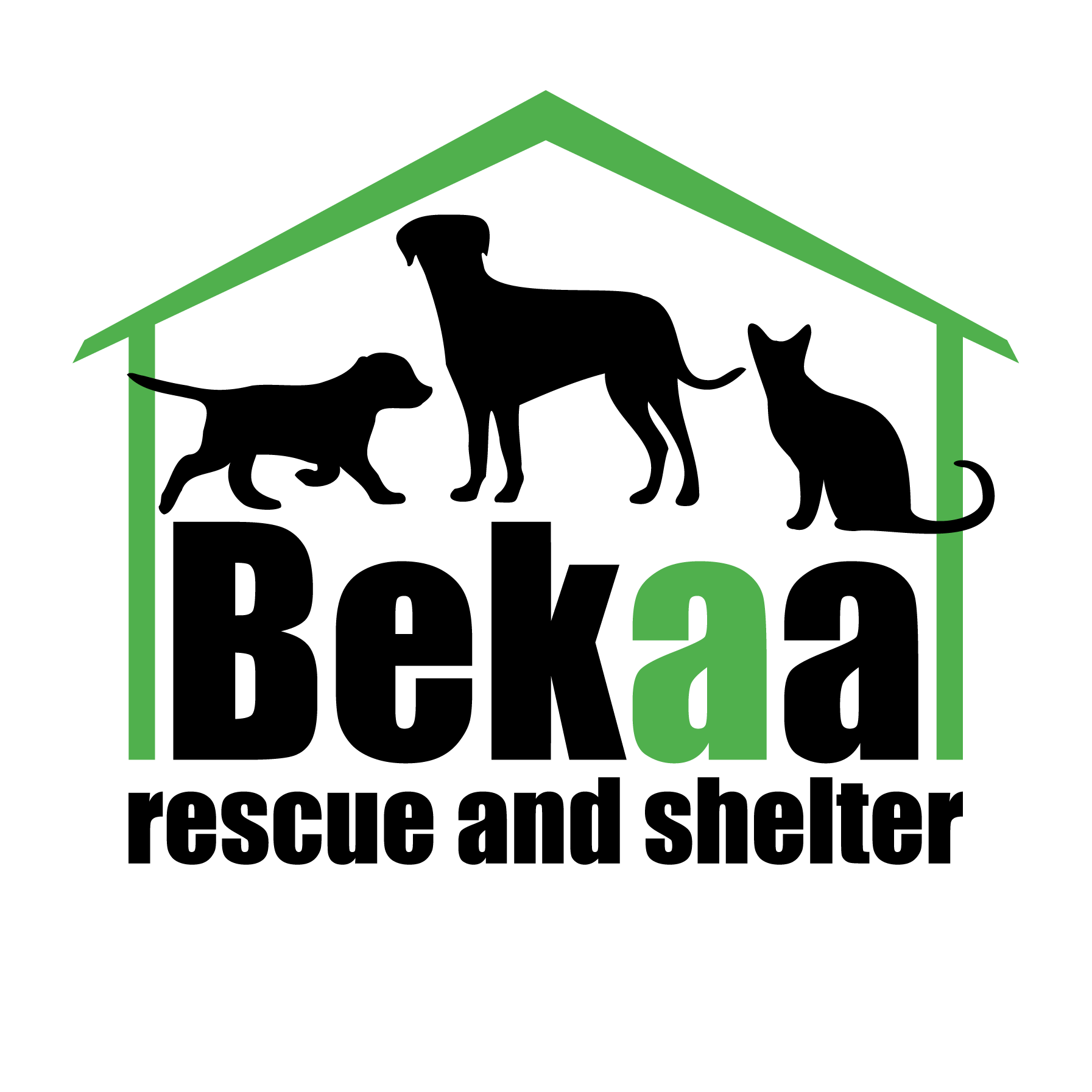 Rescue Haven: Saving Lives in the Bekaa Valley